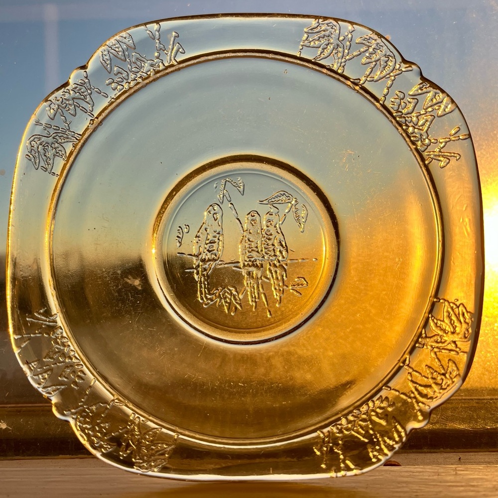 Depression Glass Federal Parrot Pattern